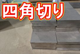 20230310　四角切りの特急品